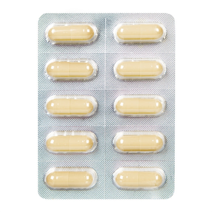 FORTA MEN 10PK
