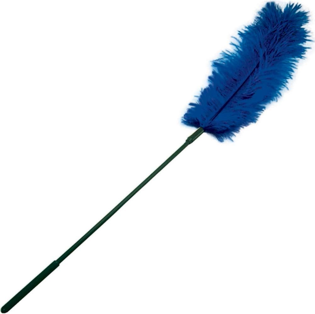 Ostrich Feather Tickler - Boutique Toi Et Moi