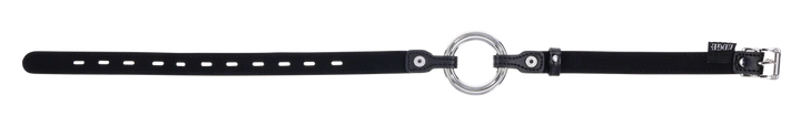 Edge Interchangeable Ring Gag